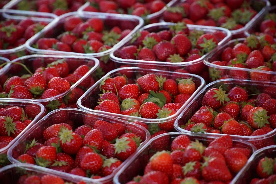strawberries 8177601 960 720
