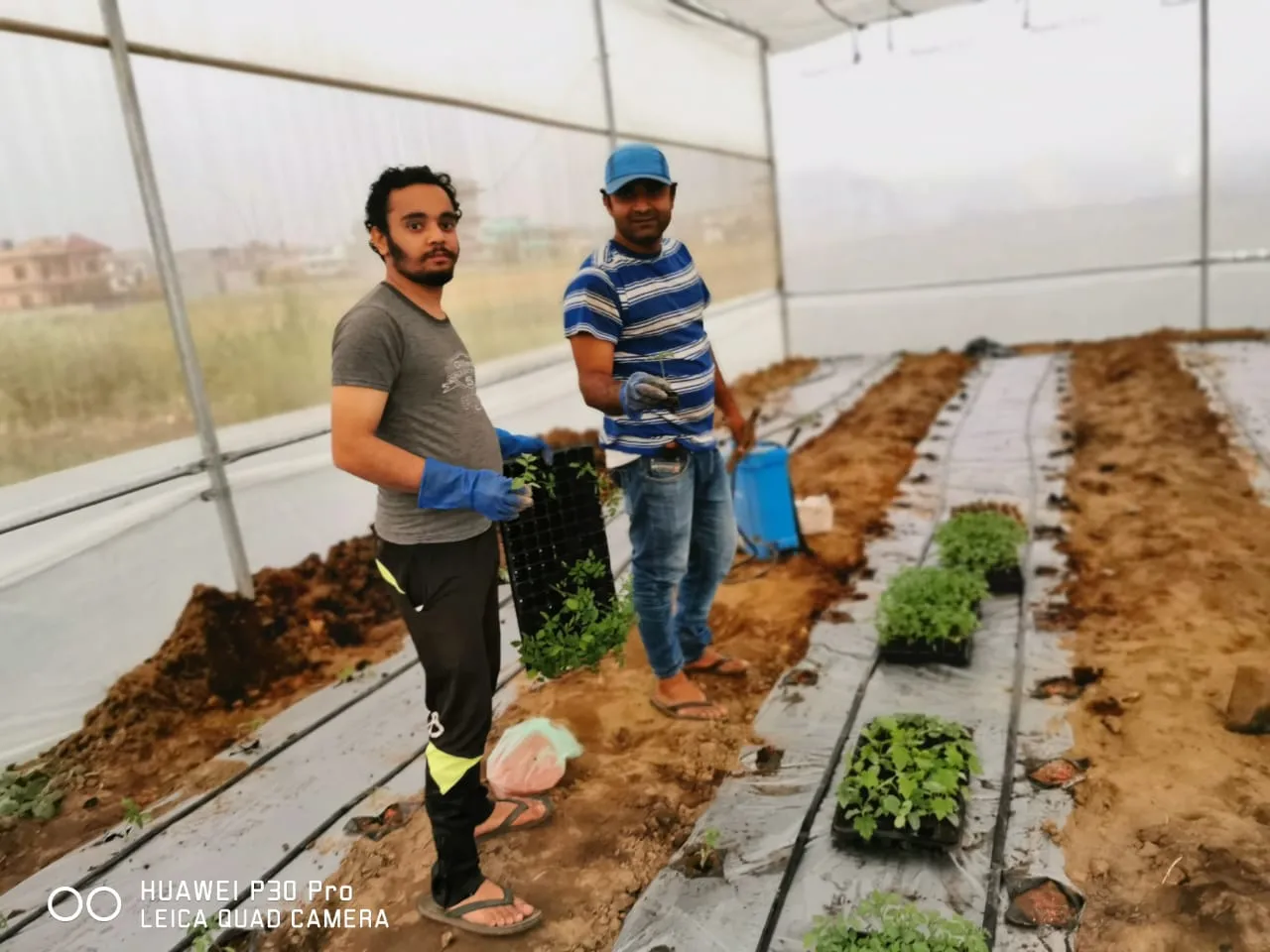 whatsapp image 2021 04 24 at 143234