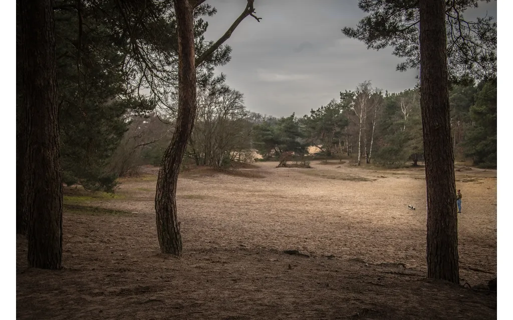 zandverstuiving rosmalen 7