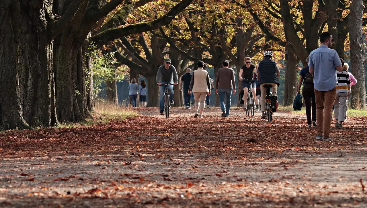 autumn 3731094 1280