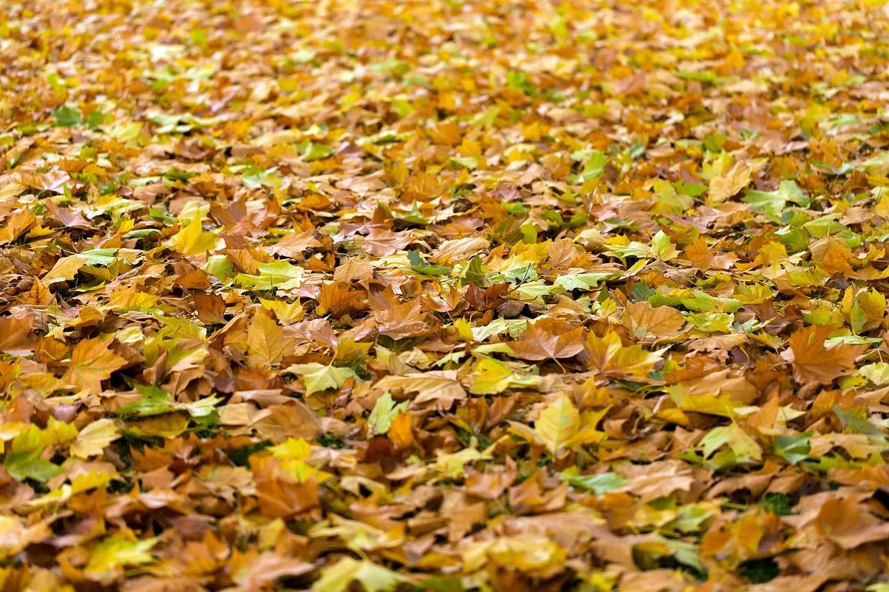 autumn 940401 1280