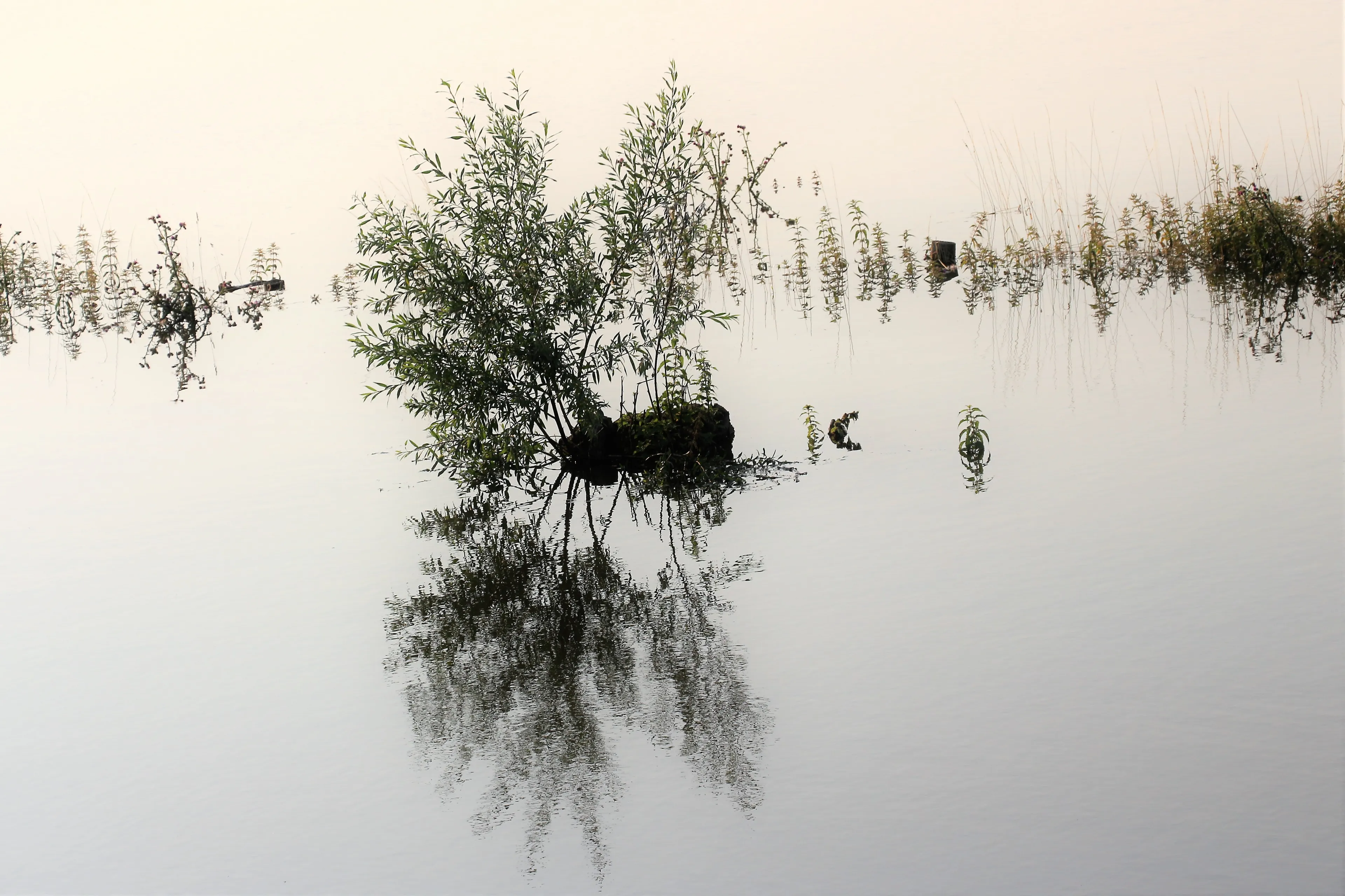 maaswater 015 2