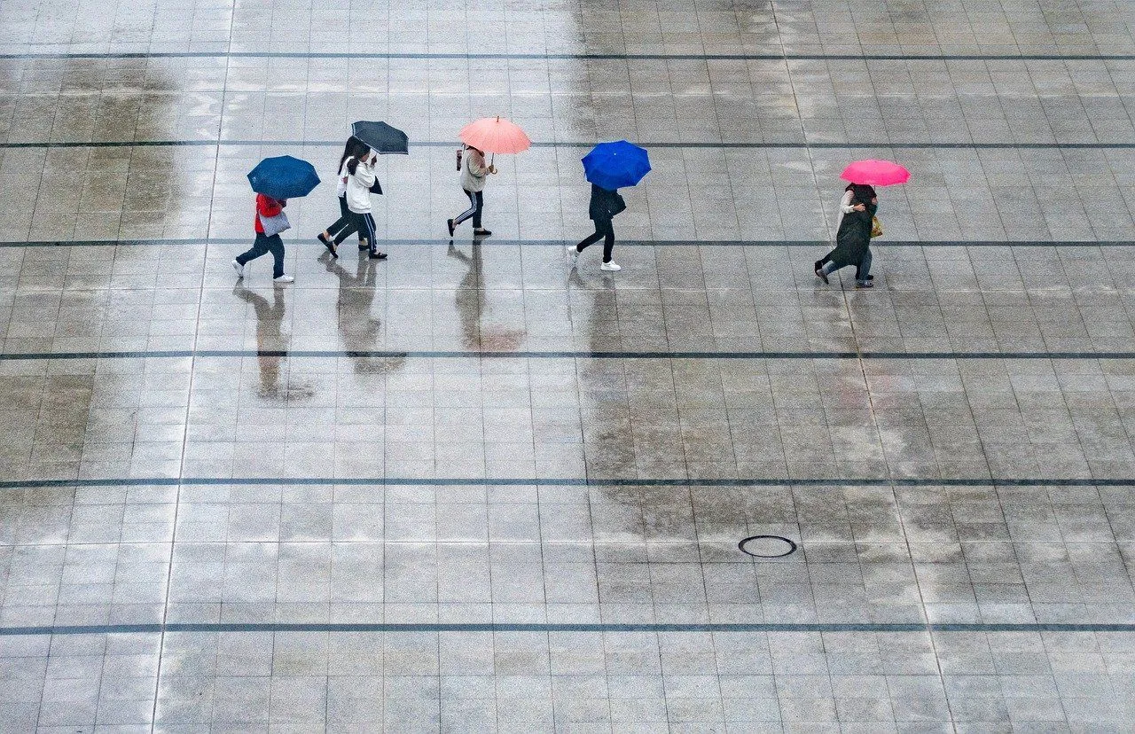 rain 7995866 1280