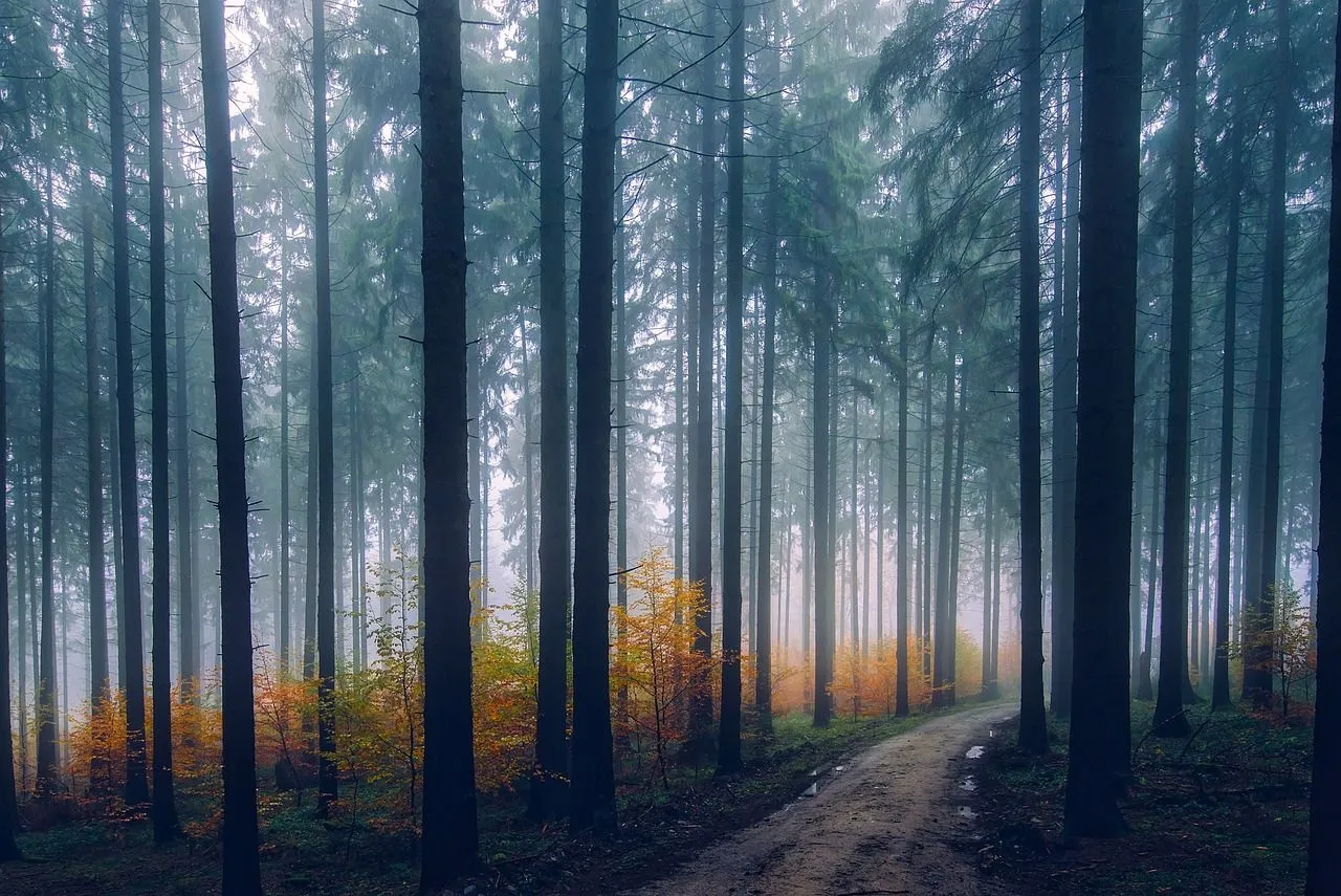 landscape 1858602 1280