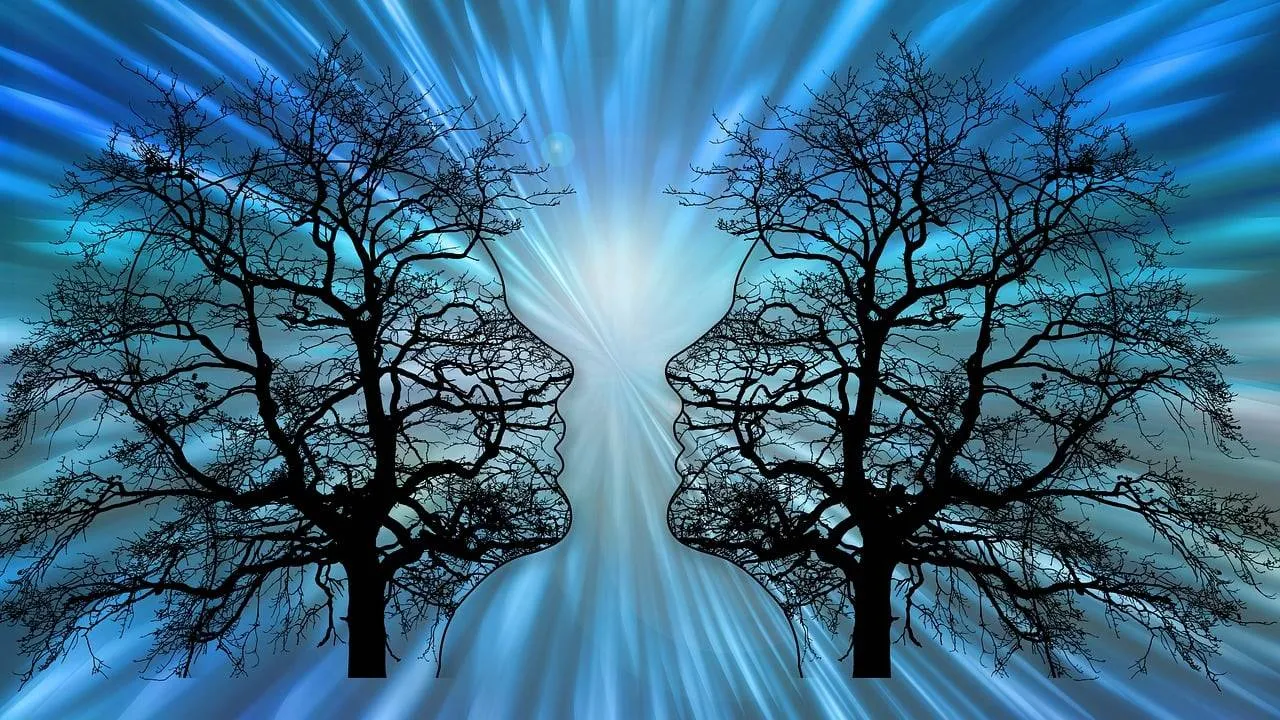 trees 6361892 1280