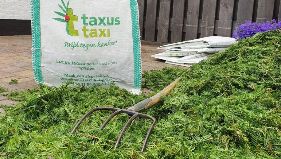 taxus-taxi