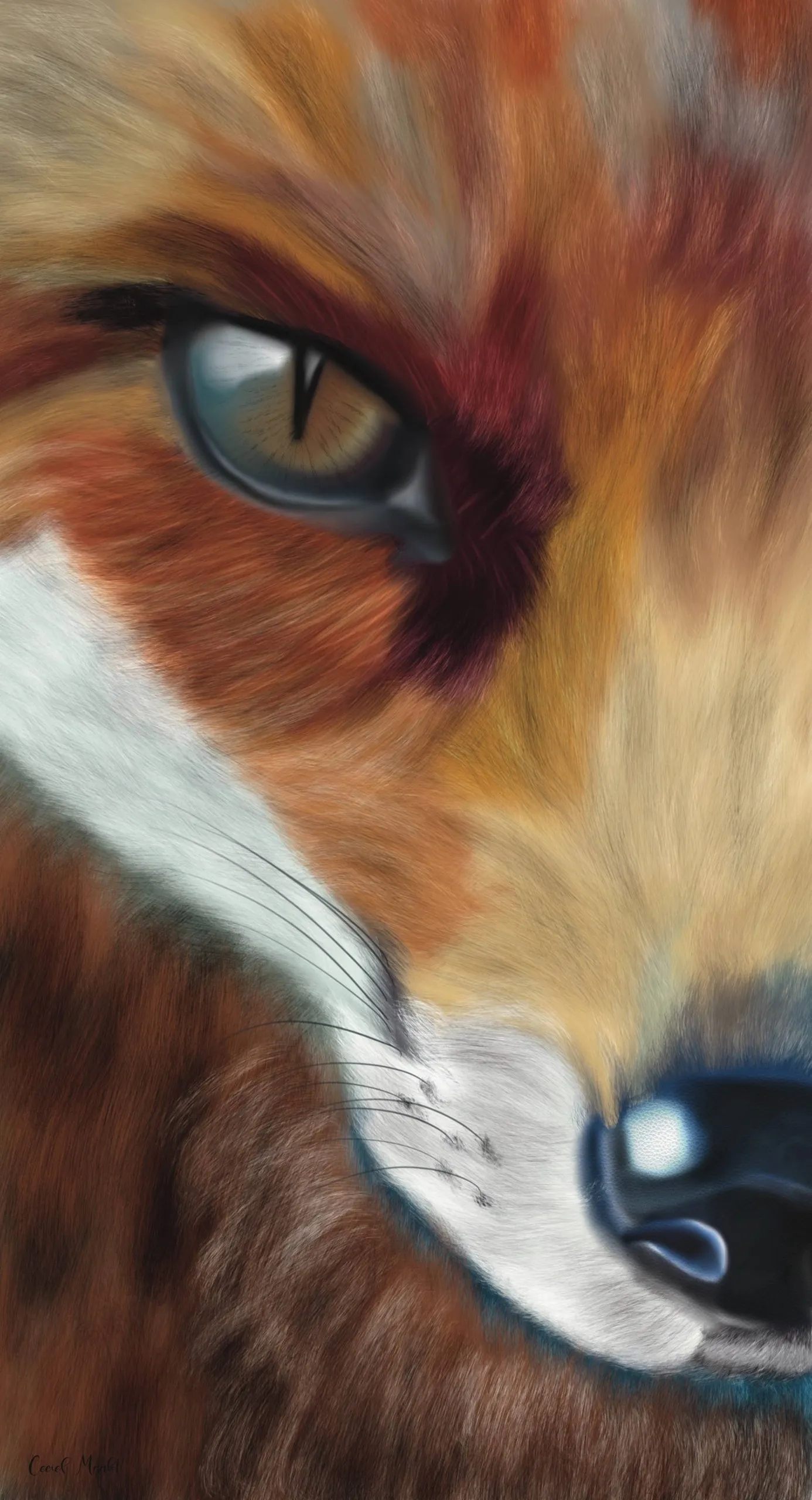 Huis73- Ceciel Maakt - Portret vos