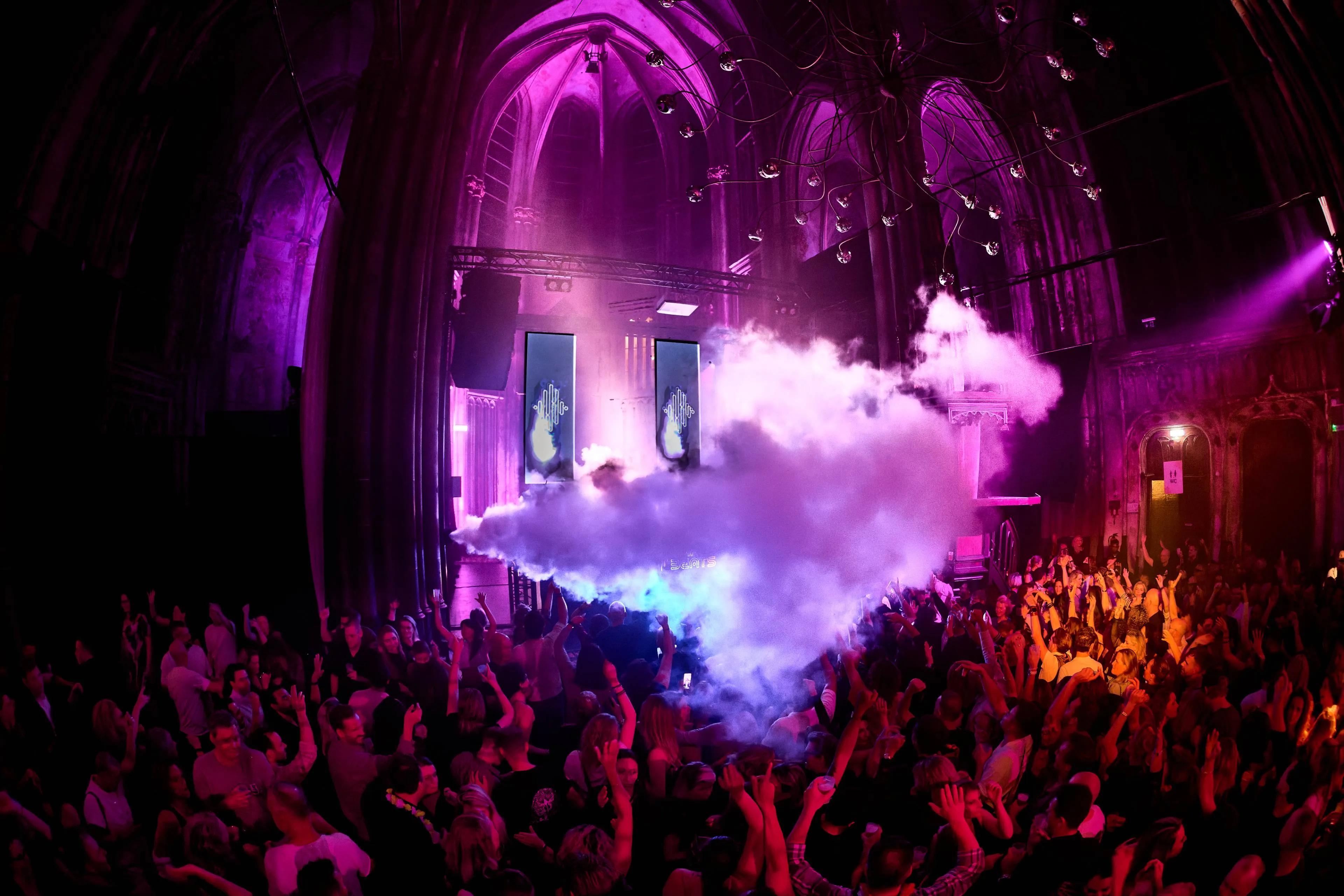 20251025_2302_EarlyBeats_Hank4Photos 1