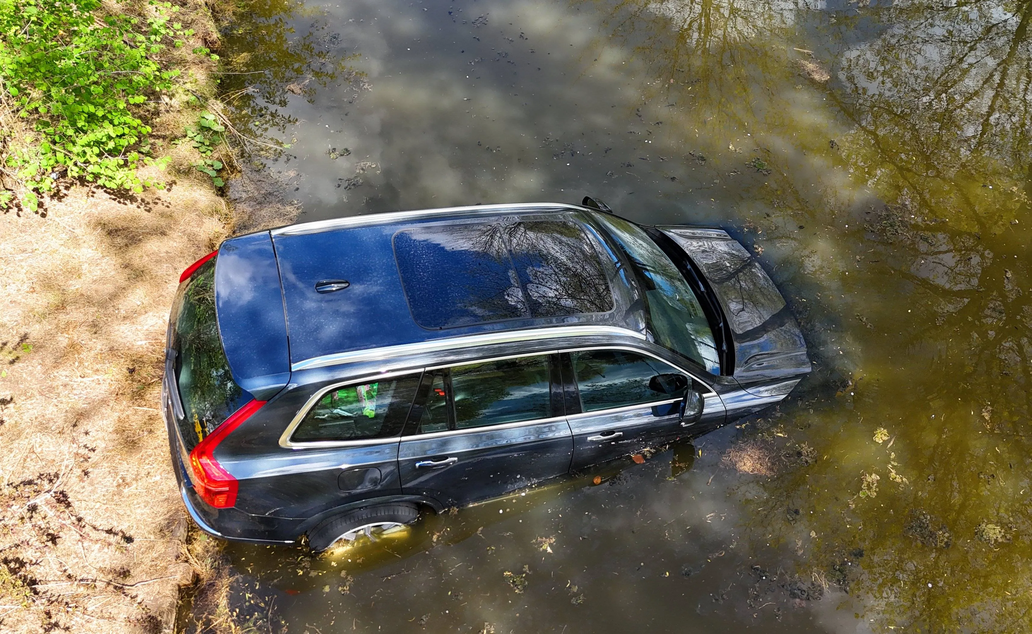 24181efc-f6c0-4586-a476-cfdae5a3d2a2