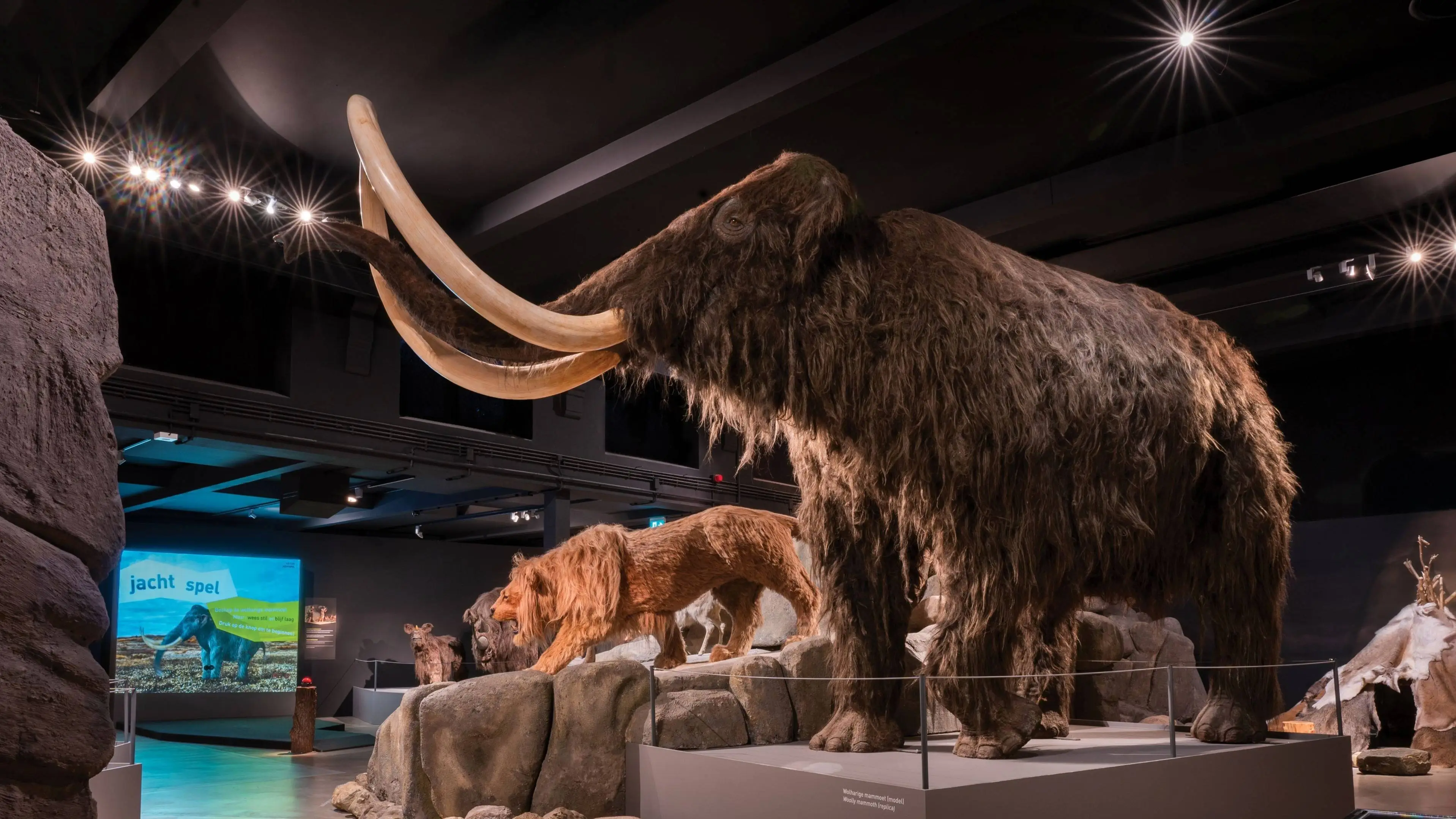 2026_Natuurmuseum Brabant_WILDGROEI_IJstijd
