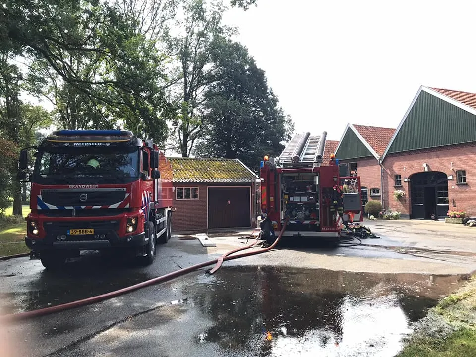 117861078 2597387690521566 7475640072442986013 n