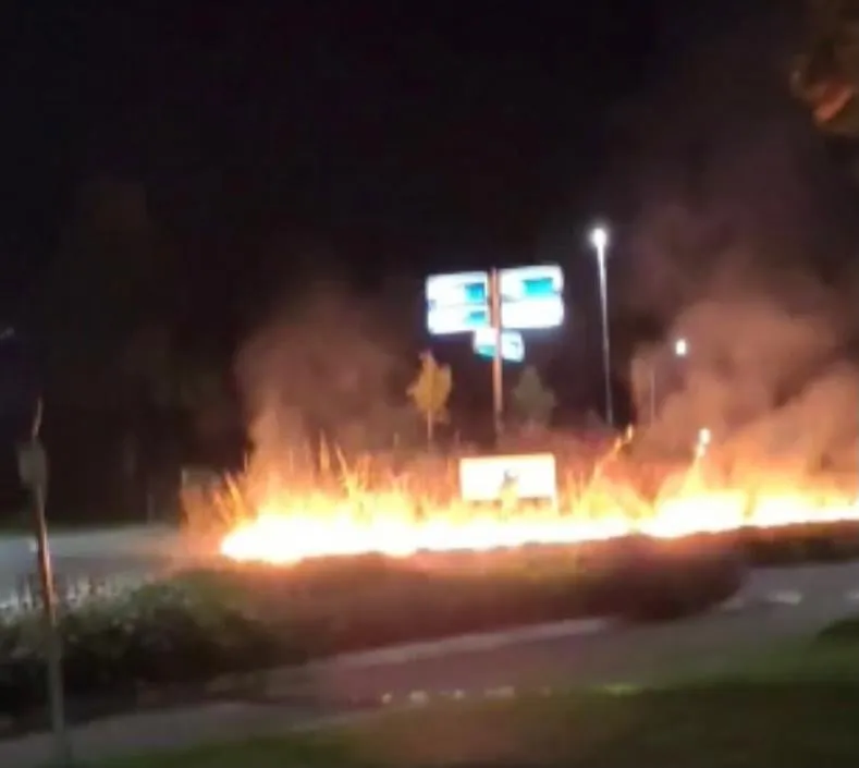 120030657 3340372192712383 7301686163369672964 n