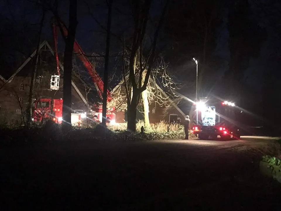 164821140 2769321623328171 8118577065679049748 n