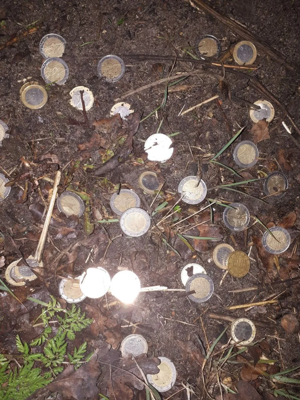 18030898 23447 newsunited