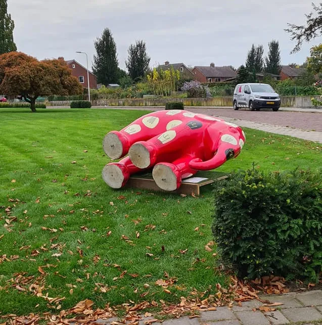 246034122 4462555207160742 1500698466600420558 n