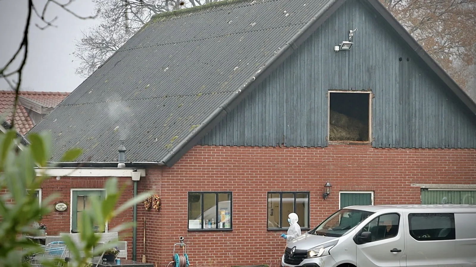 24fd1135 85e7 4247 beb9 6a846a3c91c7