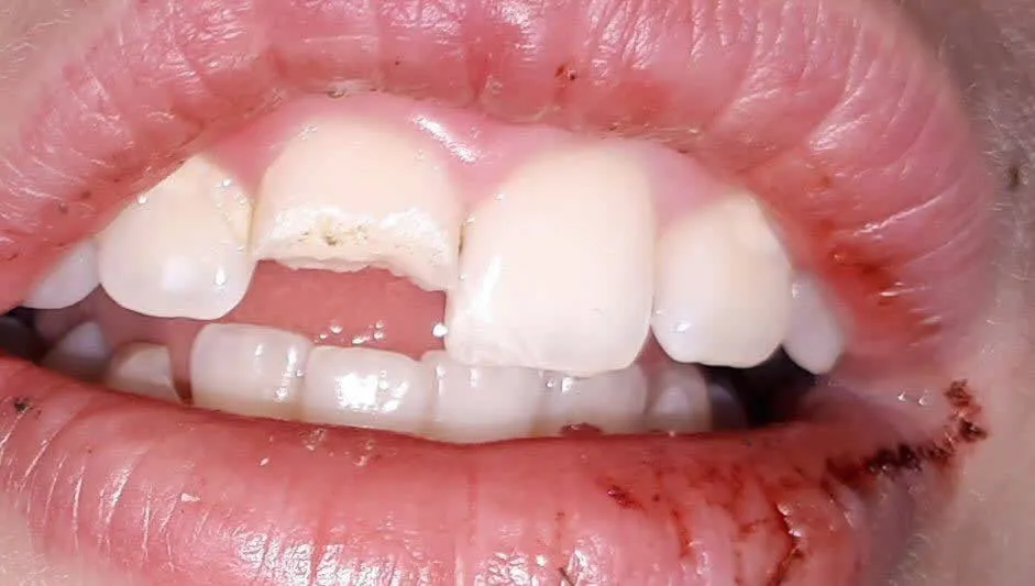 26239217 1557711287645158 2842378378500045514 n