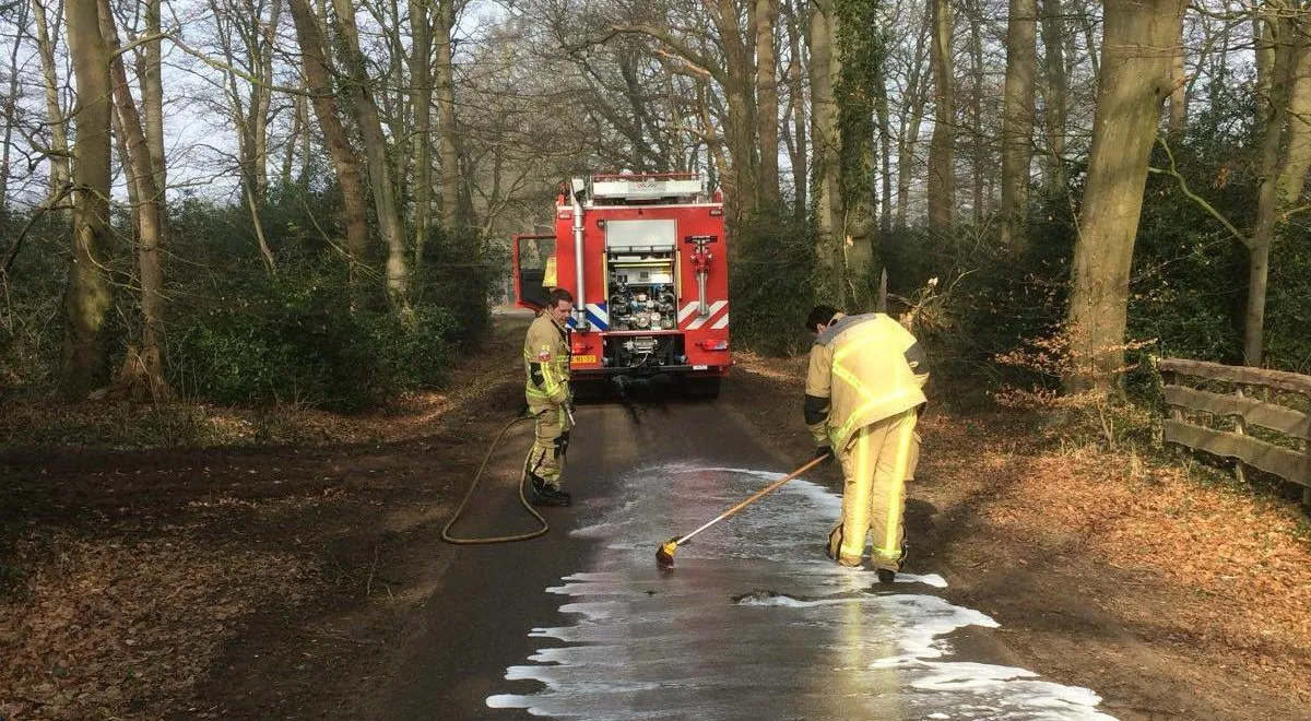 28619481 826790854172245 3298981898079683626 o e1520419877578