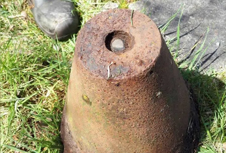 29793538 1649583428457943 6989888171332861952 n