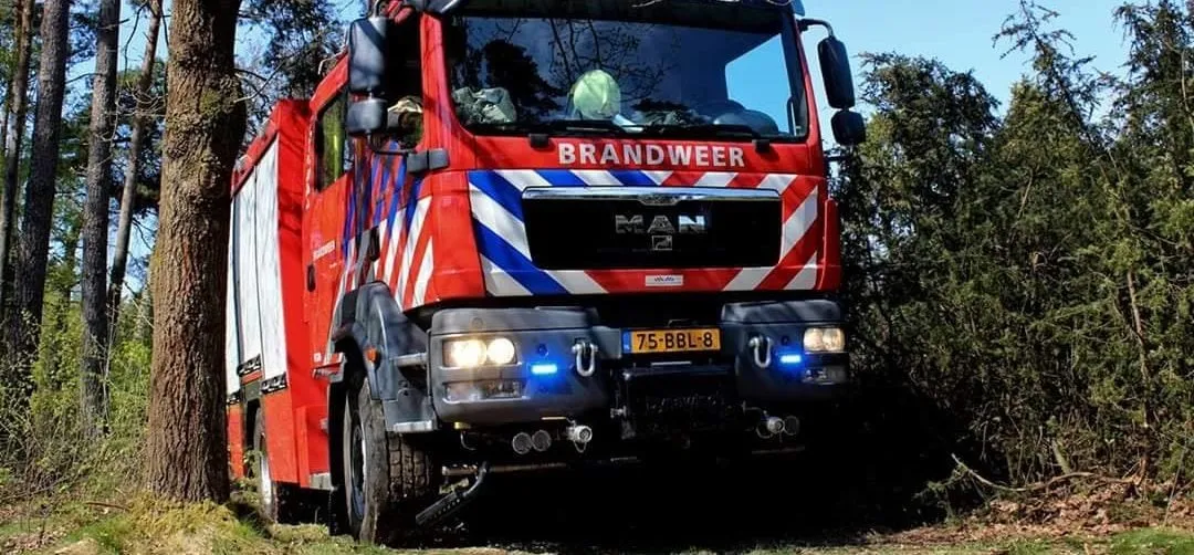 36578786 835186416674140 4217534631995506688 o e1530682084893