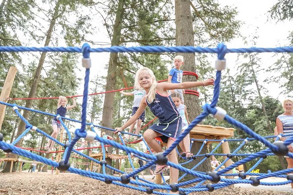 37327768 1783248265091690 4318632840678866944 n