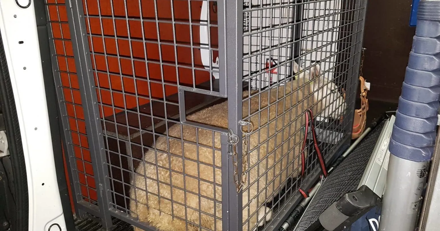 38843427 1802025386547079 4789723072955416576 o e1533887291675