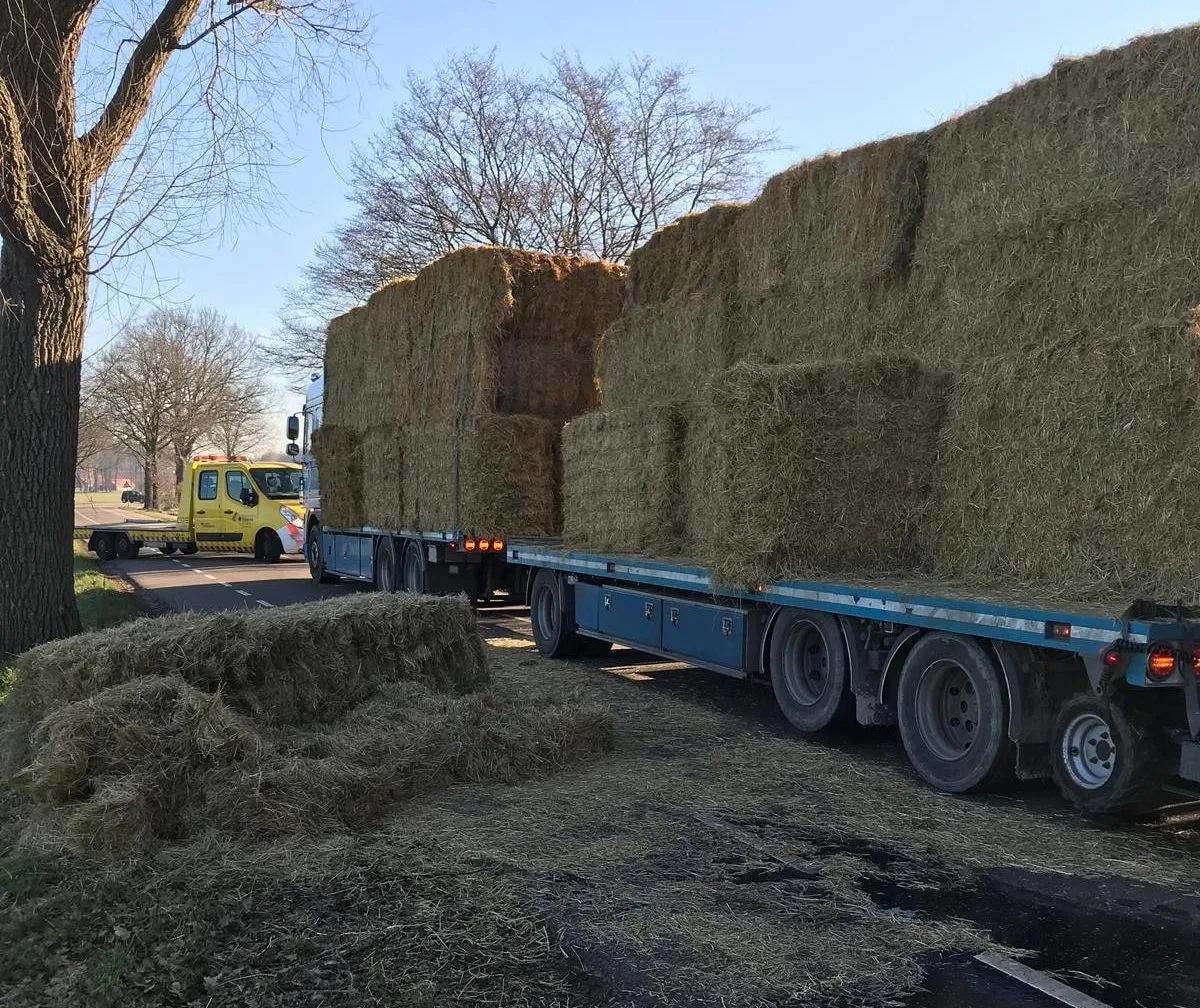 53374863 1060191820832146 3090368276736245760 o e1551286560950