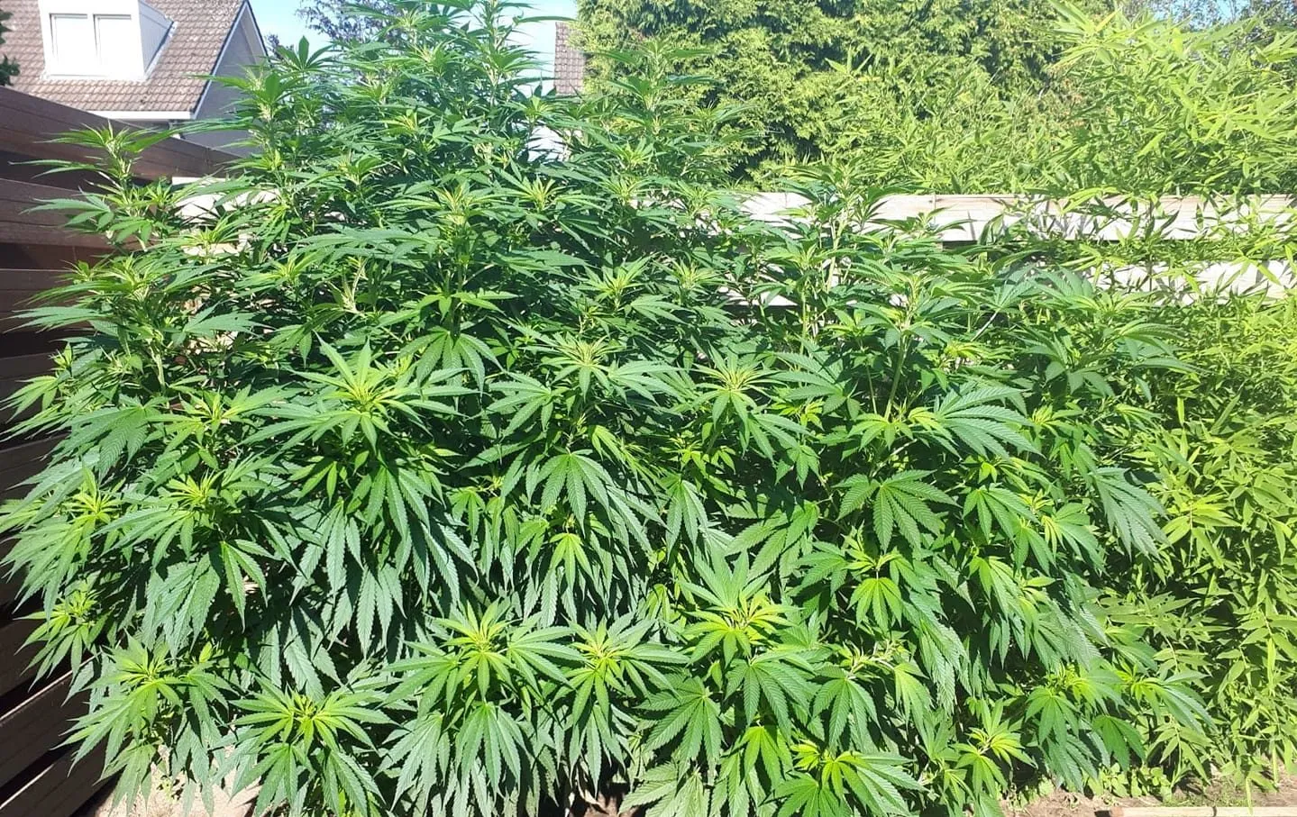 70337958 2420675234682088 8993483207961739264 o e1567674385729