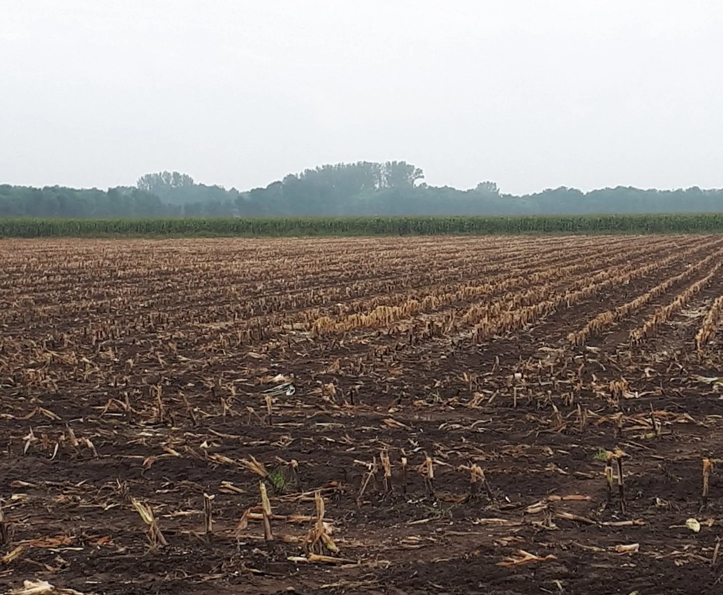 70711895 2458063090943302 7737587500201279488 o e1569315724839