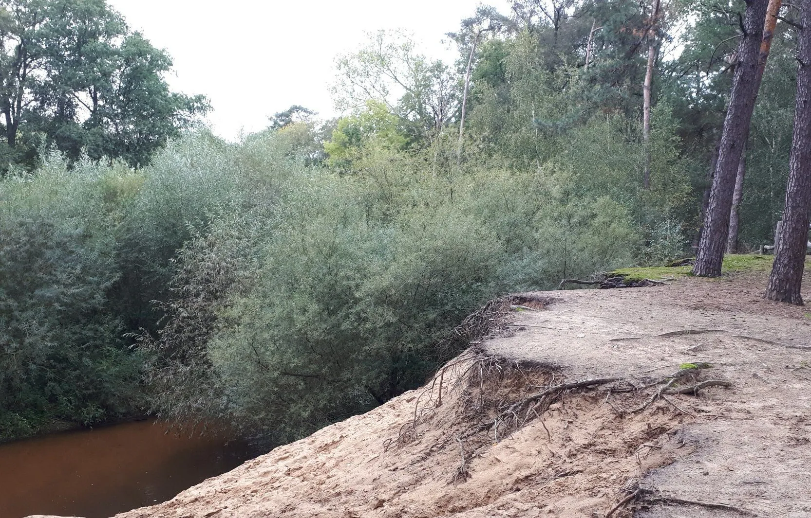 71933272 2487065451376399 9002880471851335680 o e1570371708429