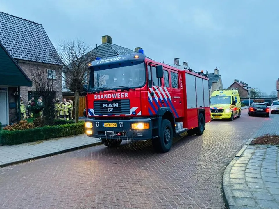 79851598 1946816248797048 2485170529615478784 n