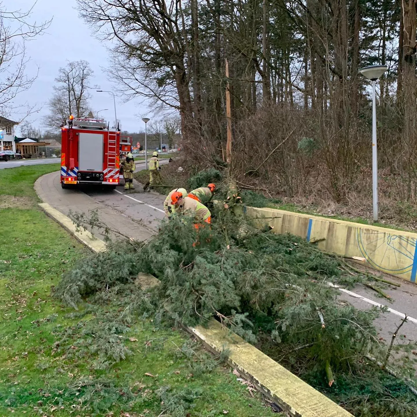 84354392 2004793429665996 1288131640635162624 o