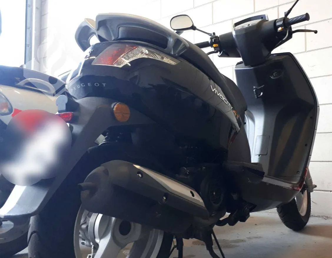 89519412 1110747669287838 4209162112942997504 o