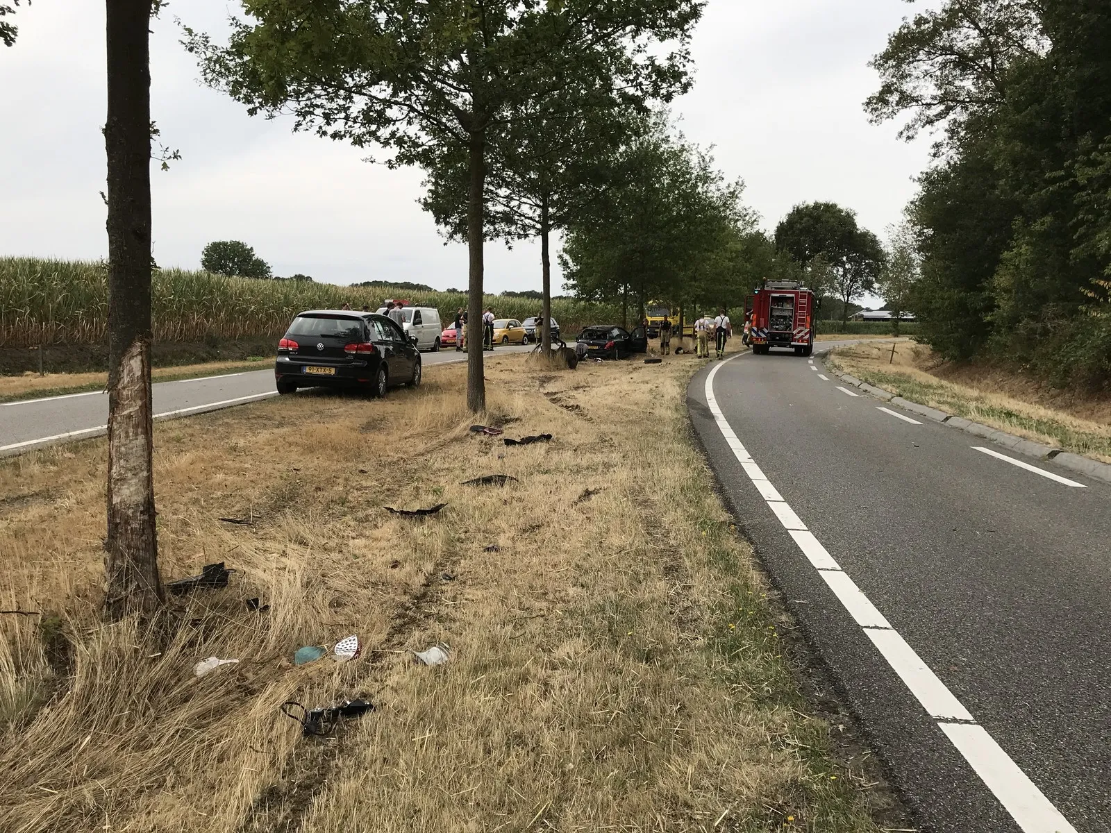 9291eb18 aacb 4e27 bf20 08e93d3f962e