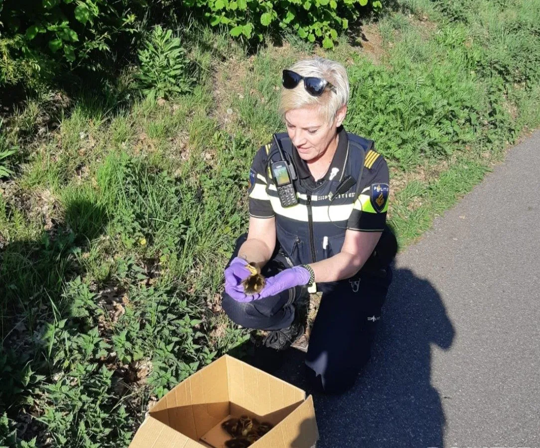 95669680 2951502941599312 2165373913364692992 o e1588663969131