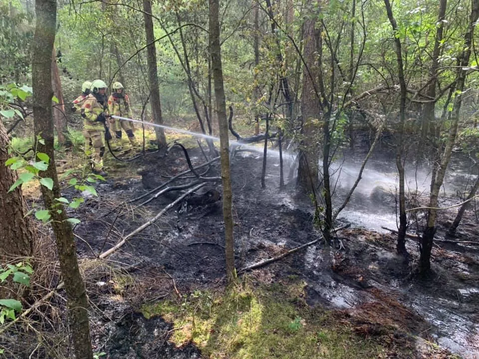 97428469 2108645535947451 1671085630714544128 n