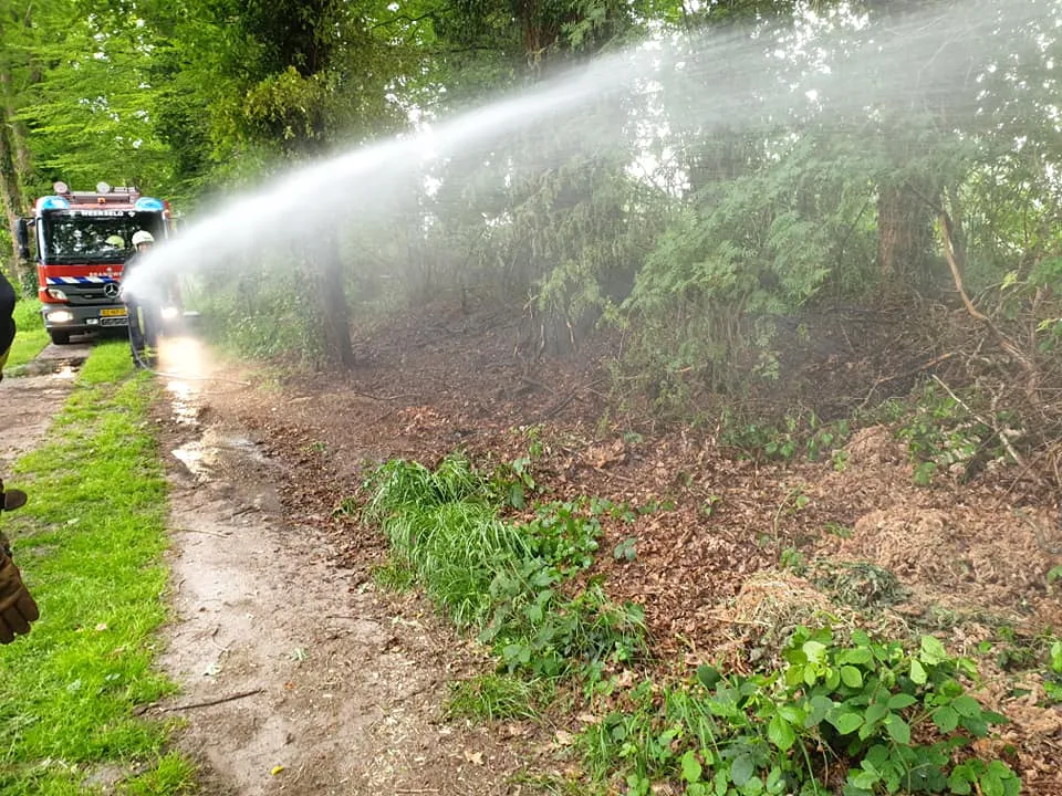 99425598 2530883857171950 218171264756350976 n