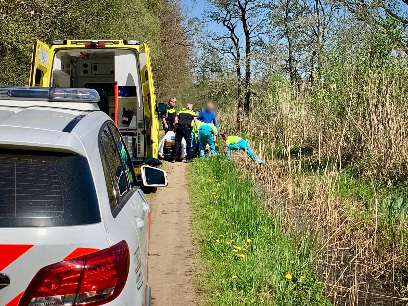 d35a86e5 d6d4 4f37 b09c 4c451d740adc