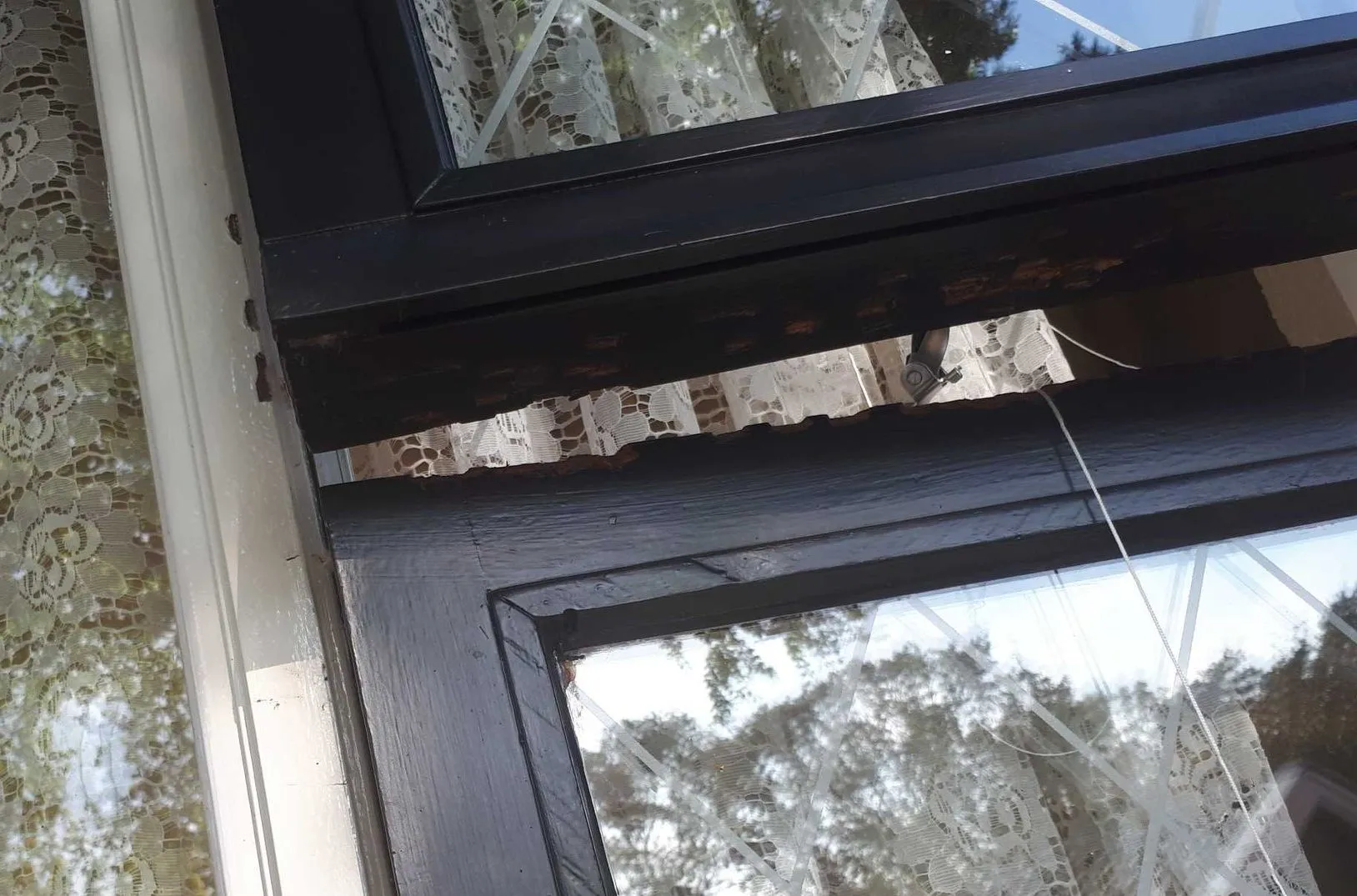 ejt9tiaxyaawa0i e1601628878578