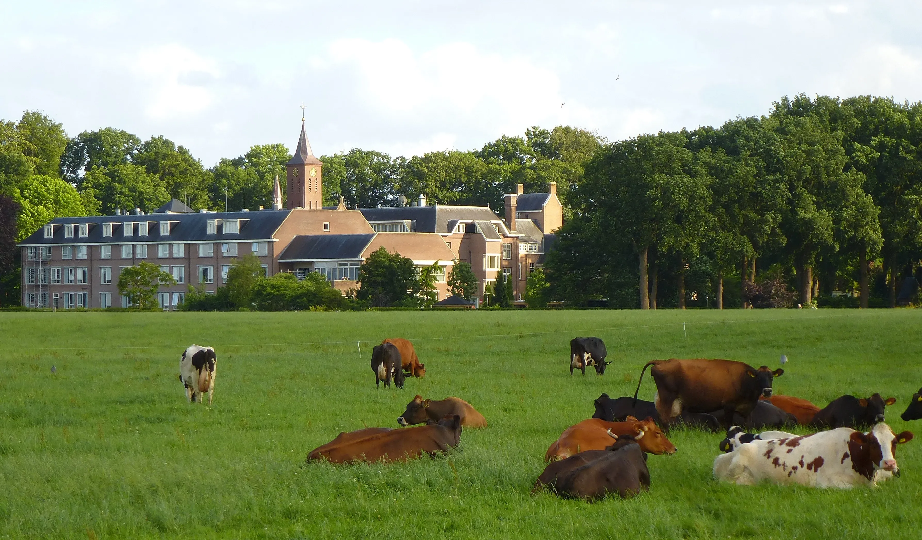 het klooster ligt verscholen in het groen met zicht op de omringende weilanden 2