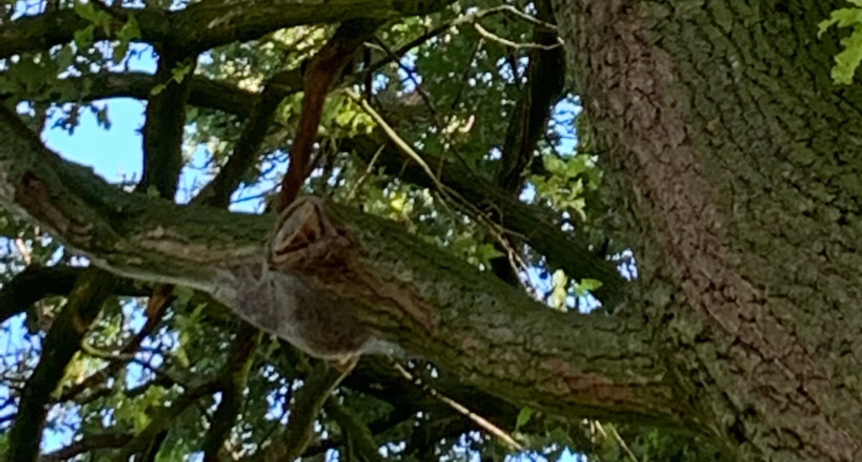 image 15 e1562182602444