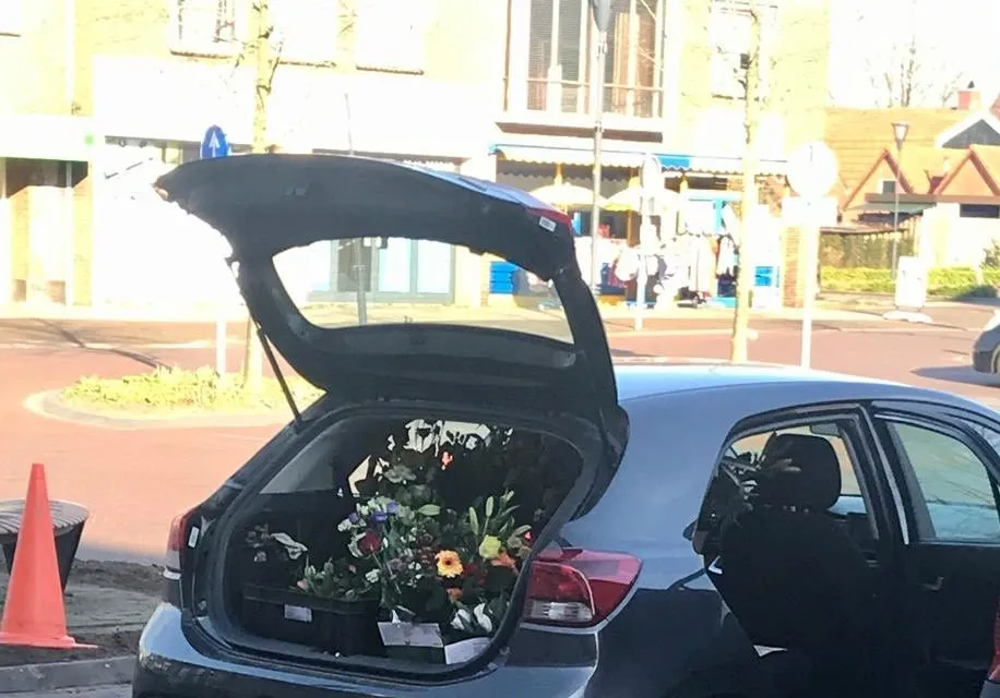 image 7 e1585392944669