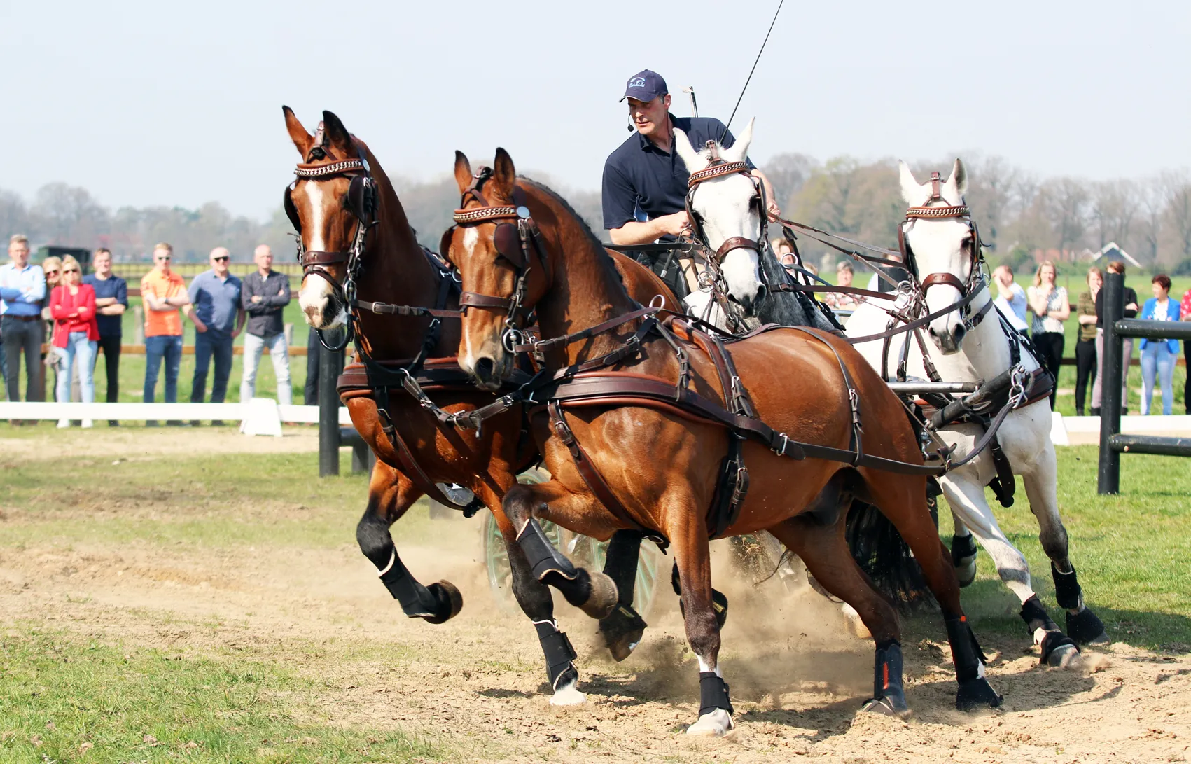 mark weusthof hippisch twente