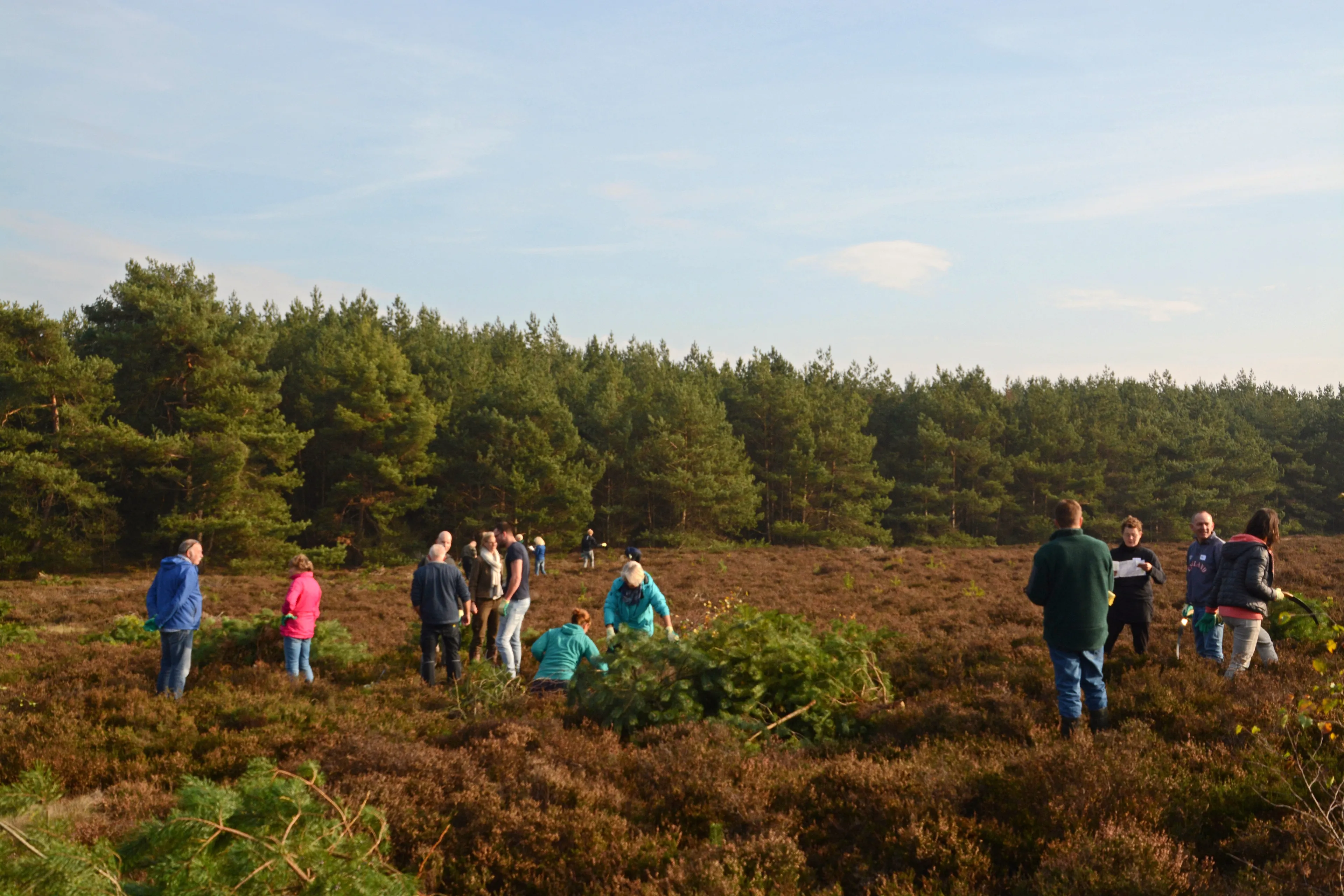 natuurwerkdag nico kloek