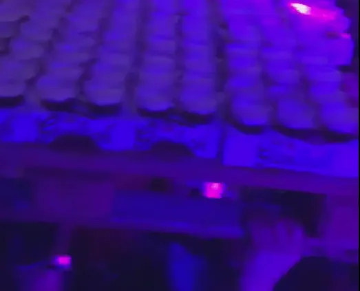 schermafdruk 2019 01 03 1808341