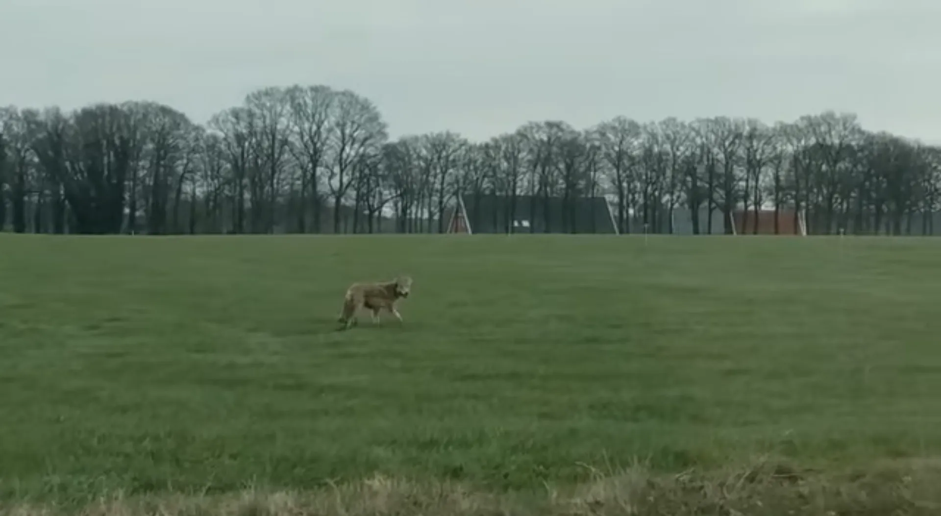 schermafdruk 2021 04 08 163020