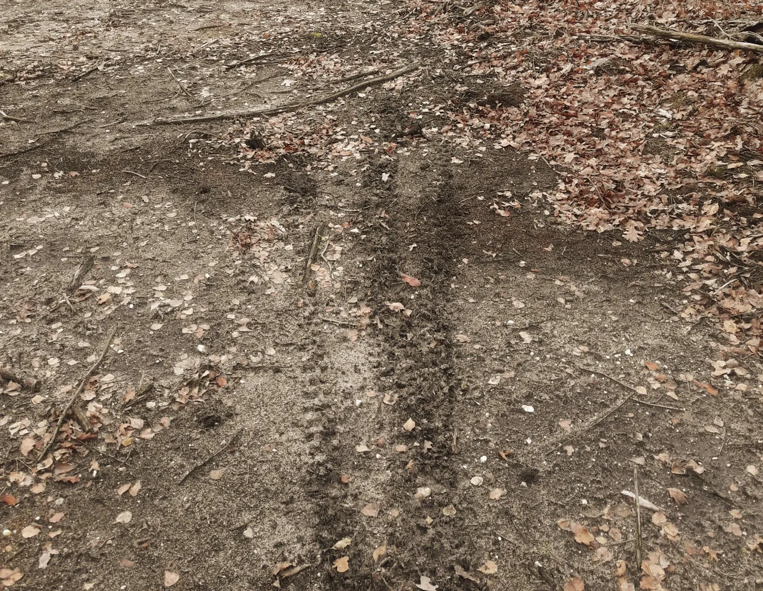 springendal crossmotoren 2