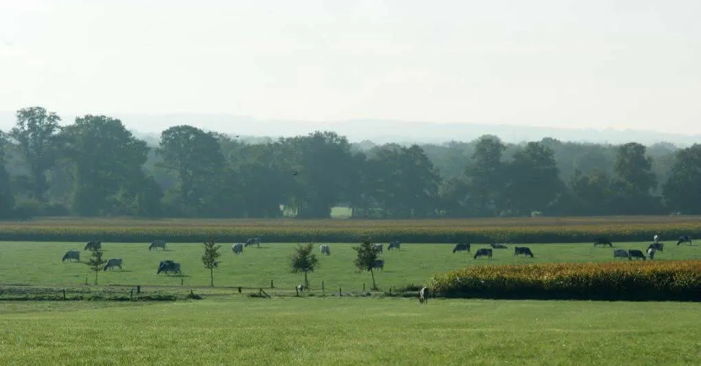 twents landschap hoeve ezelsgoor