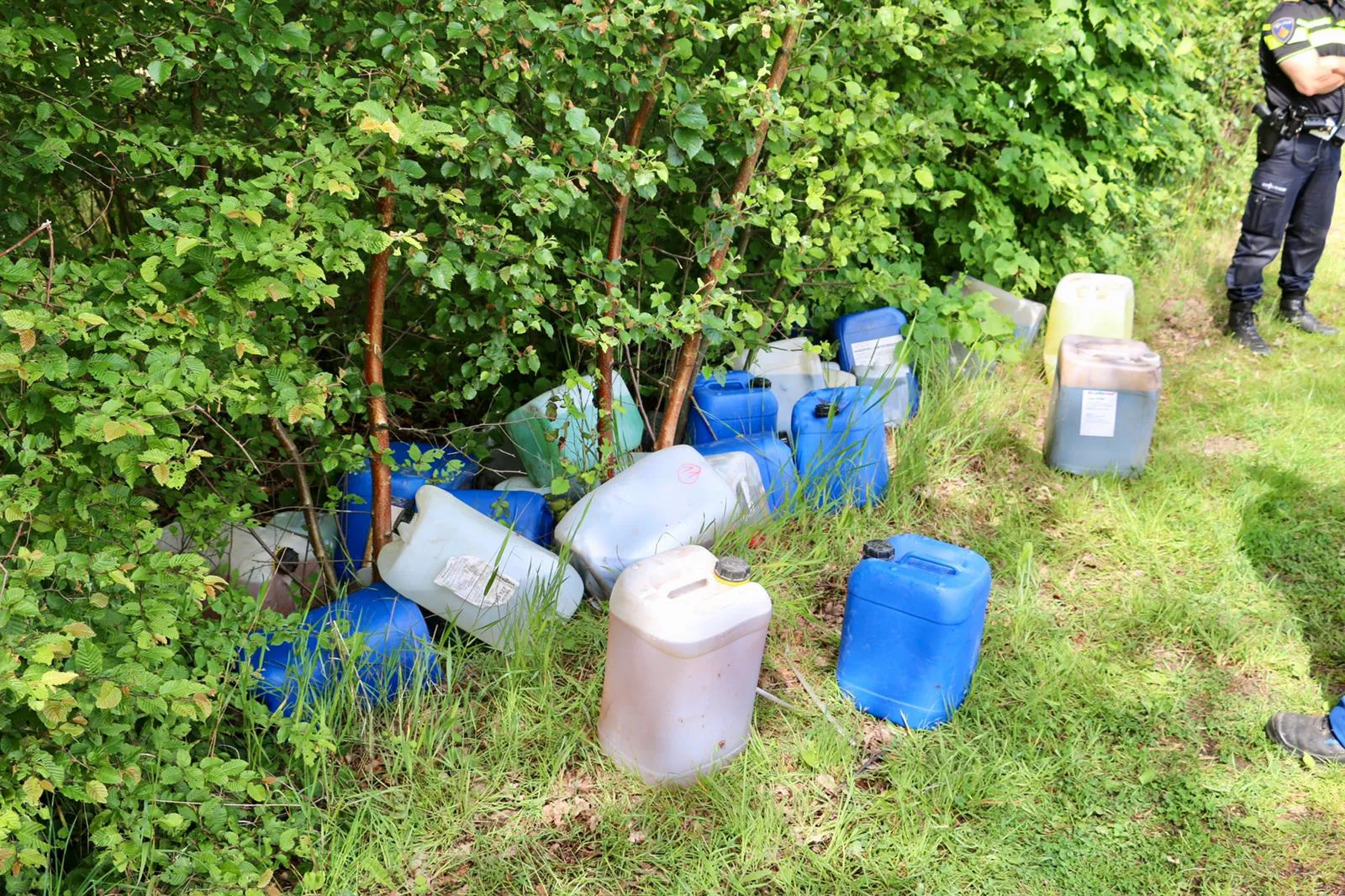 whatsapp image 2019 06 03 at 113557