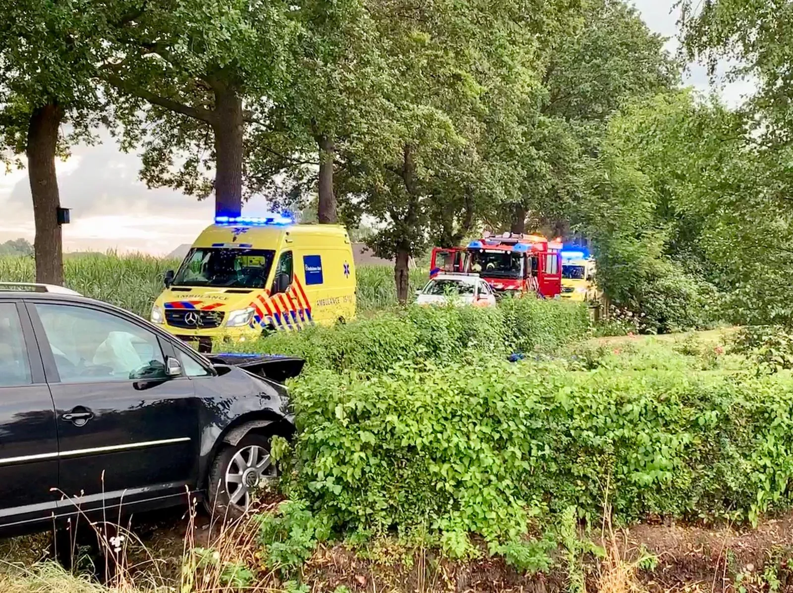 whatsapp image 2019 07 31 at 200619